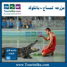 مزرعه تمساح بانکوک